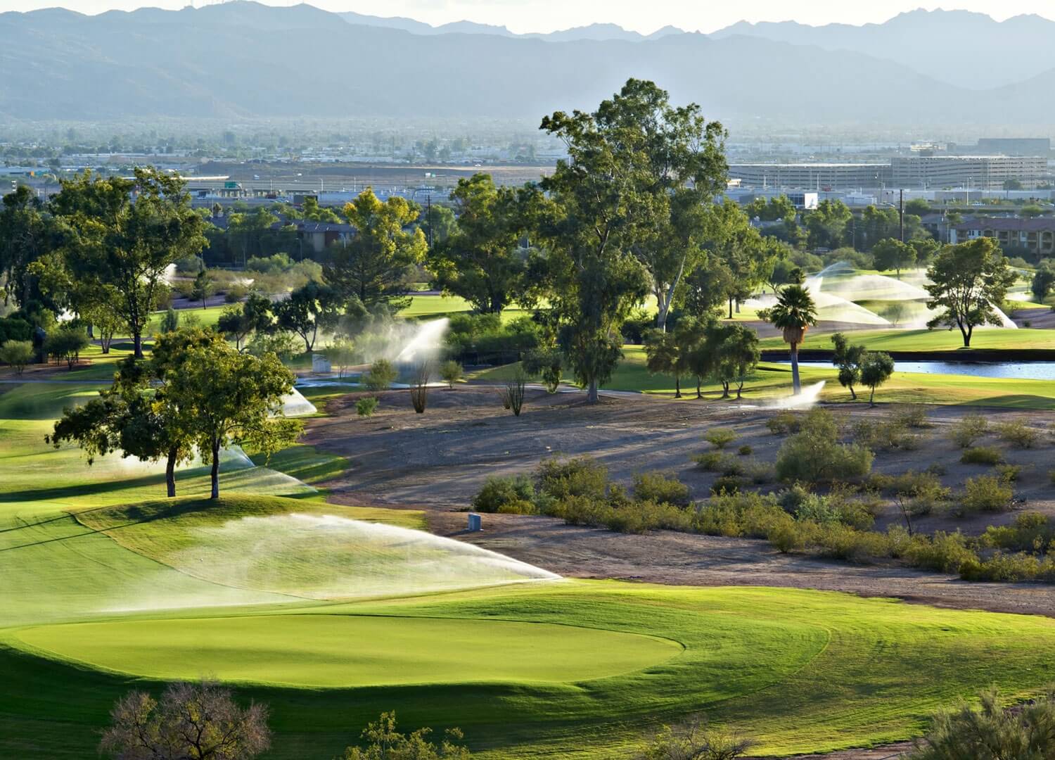 home-decor-and-garden